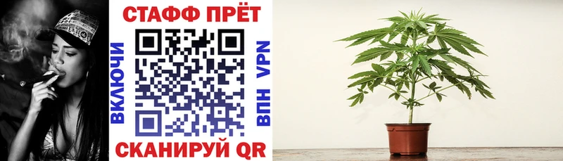 Какие есть наркотики Салехард А ПВП  COCAIN  Меф мяу мяу  Героин  ГАШИШ  гидра зеркало  Бошки Шишки 