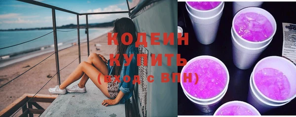 МДПВ Нея