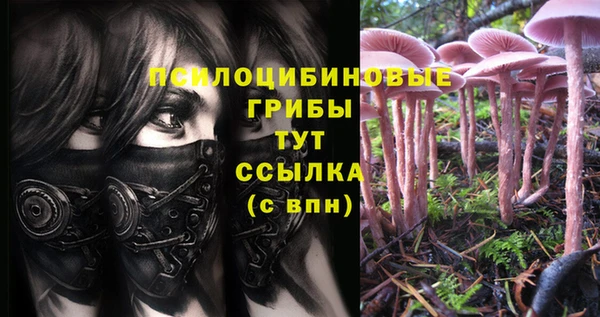 МДПВ Нея