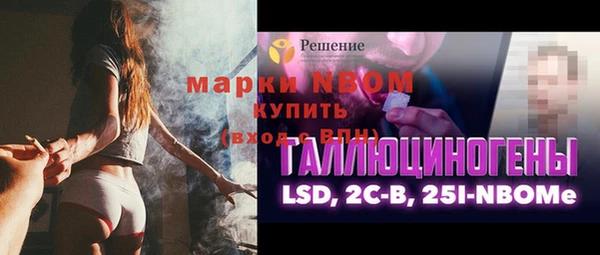 МДПВ Нея