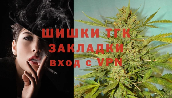 МДПВ Нея
