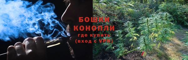 МДПВ Нея
