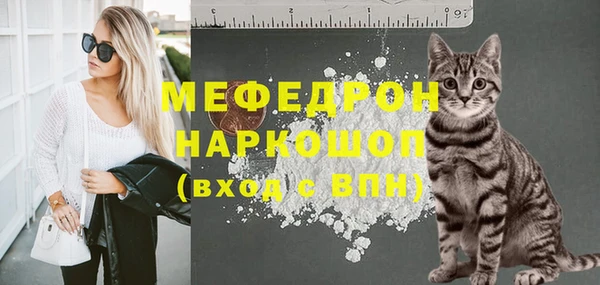 МДПВ Нея