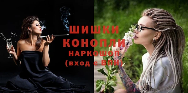 МДПВ Нея